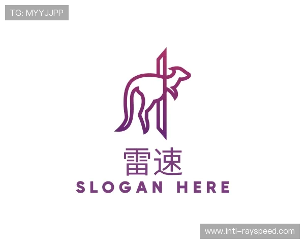 认识雷速公司